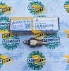 Датчик температуры КПП 4130000065 ( ОРИГИНАЛ ) (D17 mm)